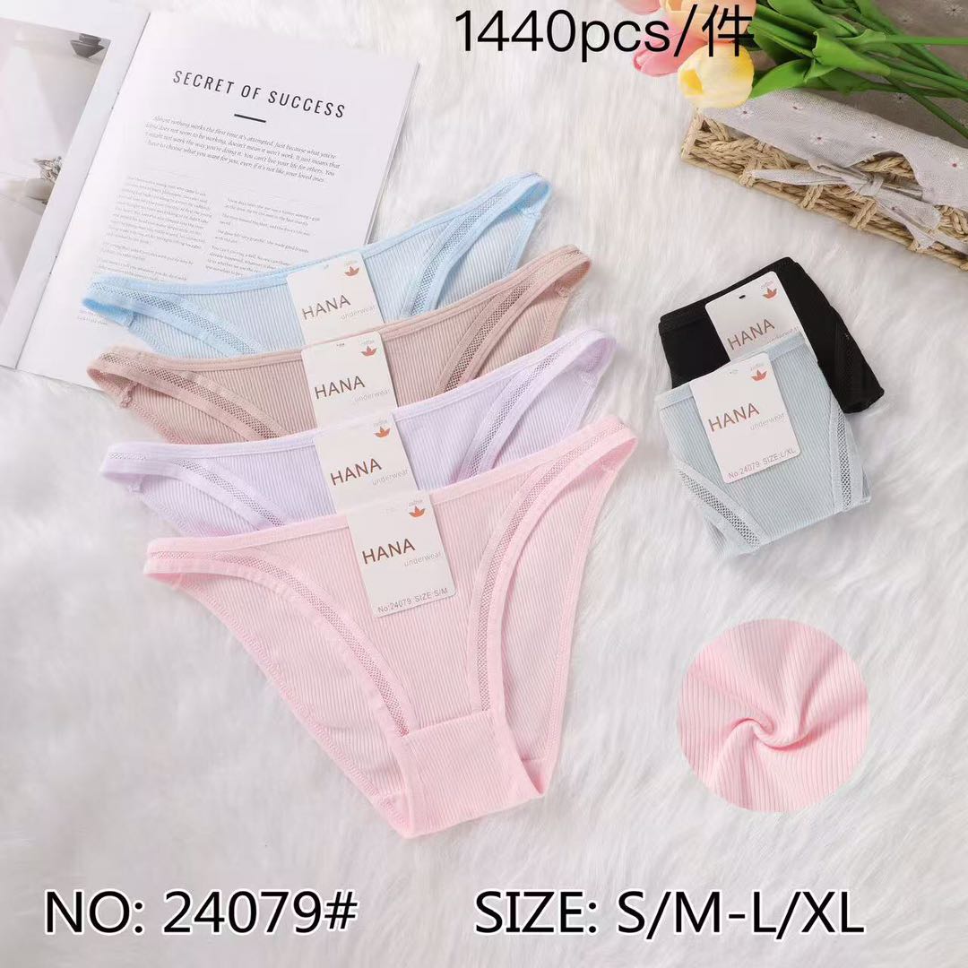 24079 Κιλότα 内裤