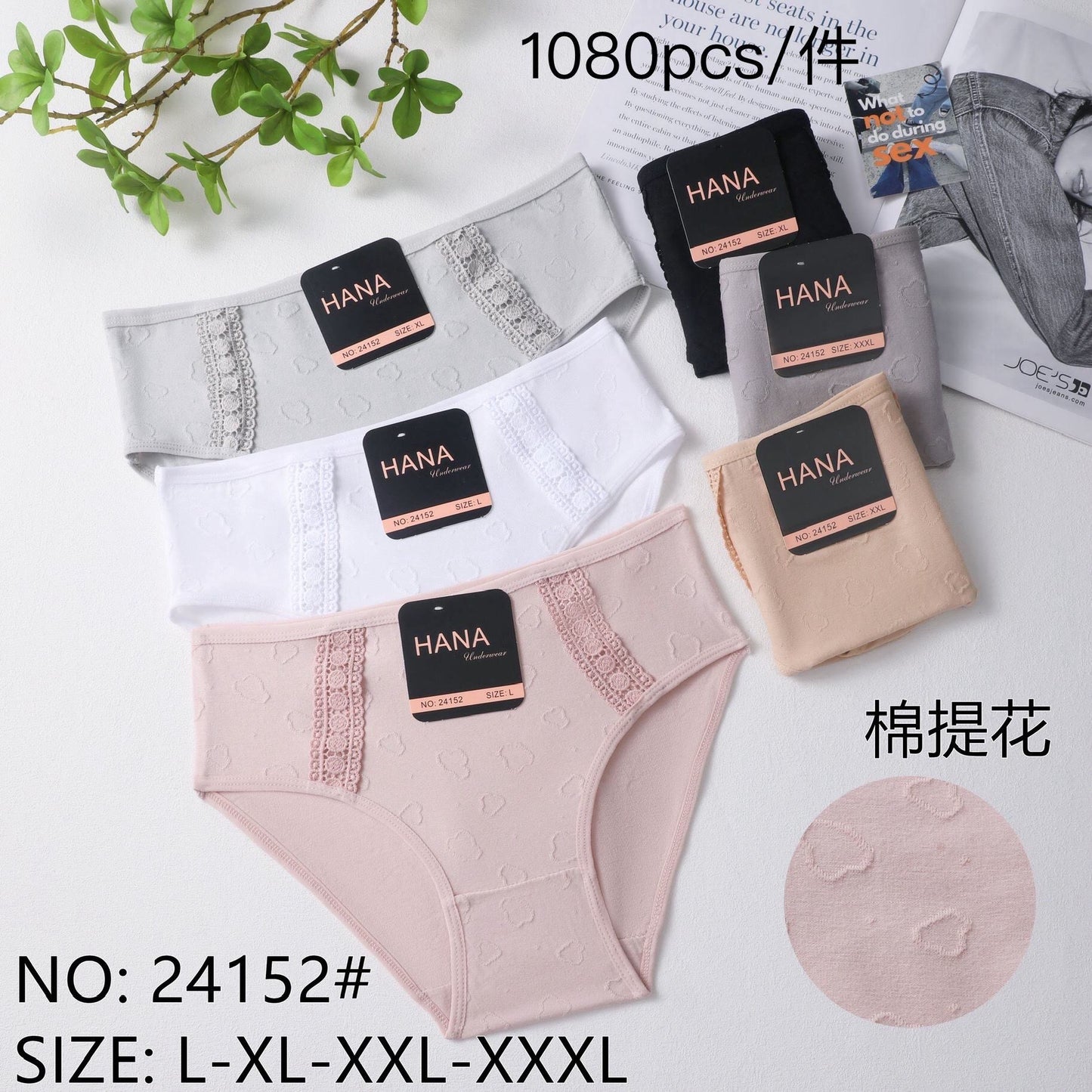 24152 Κιλότα 内裤