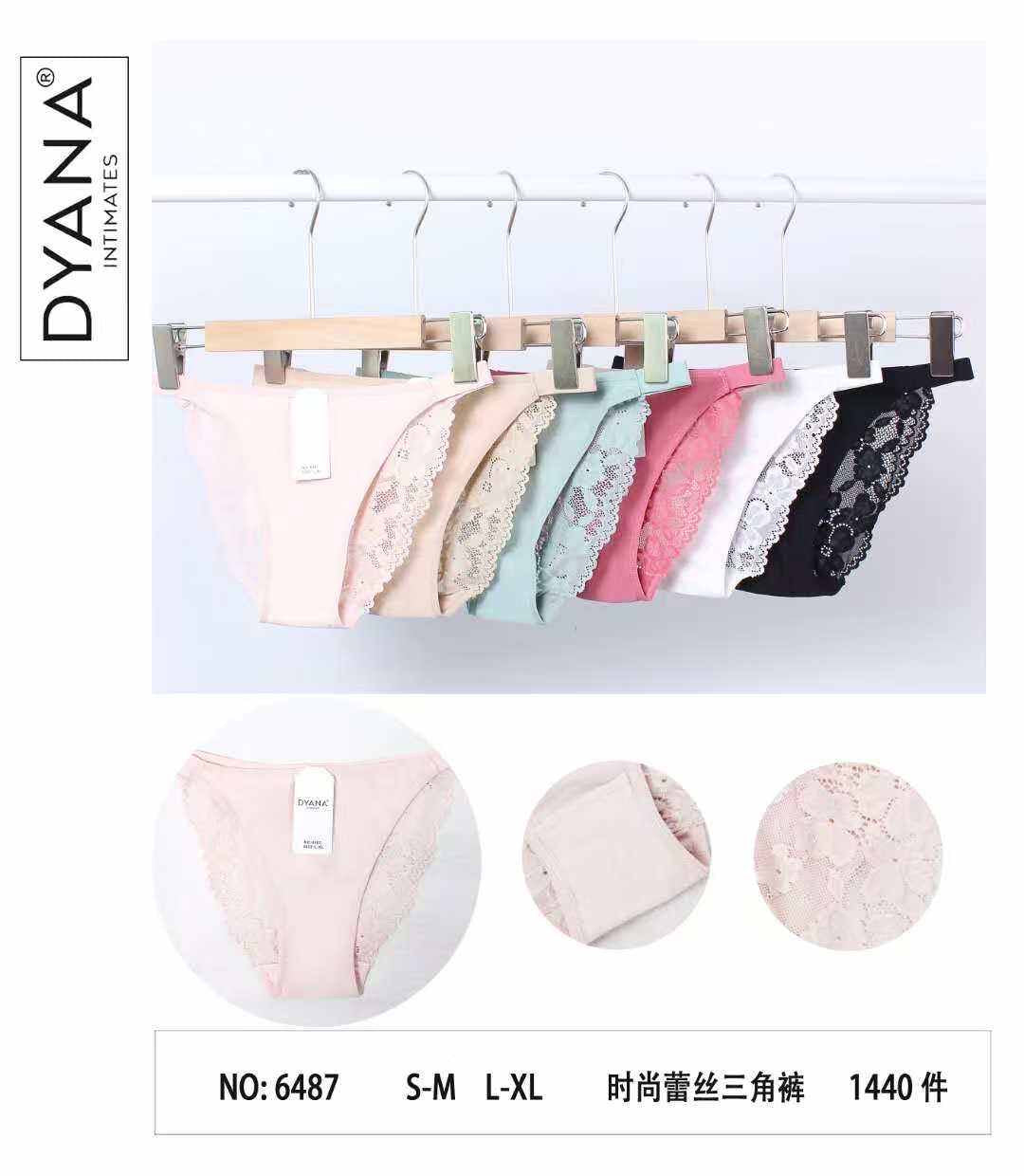 6487 Κιλότα 内裤