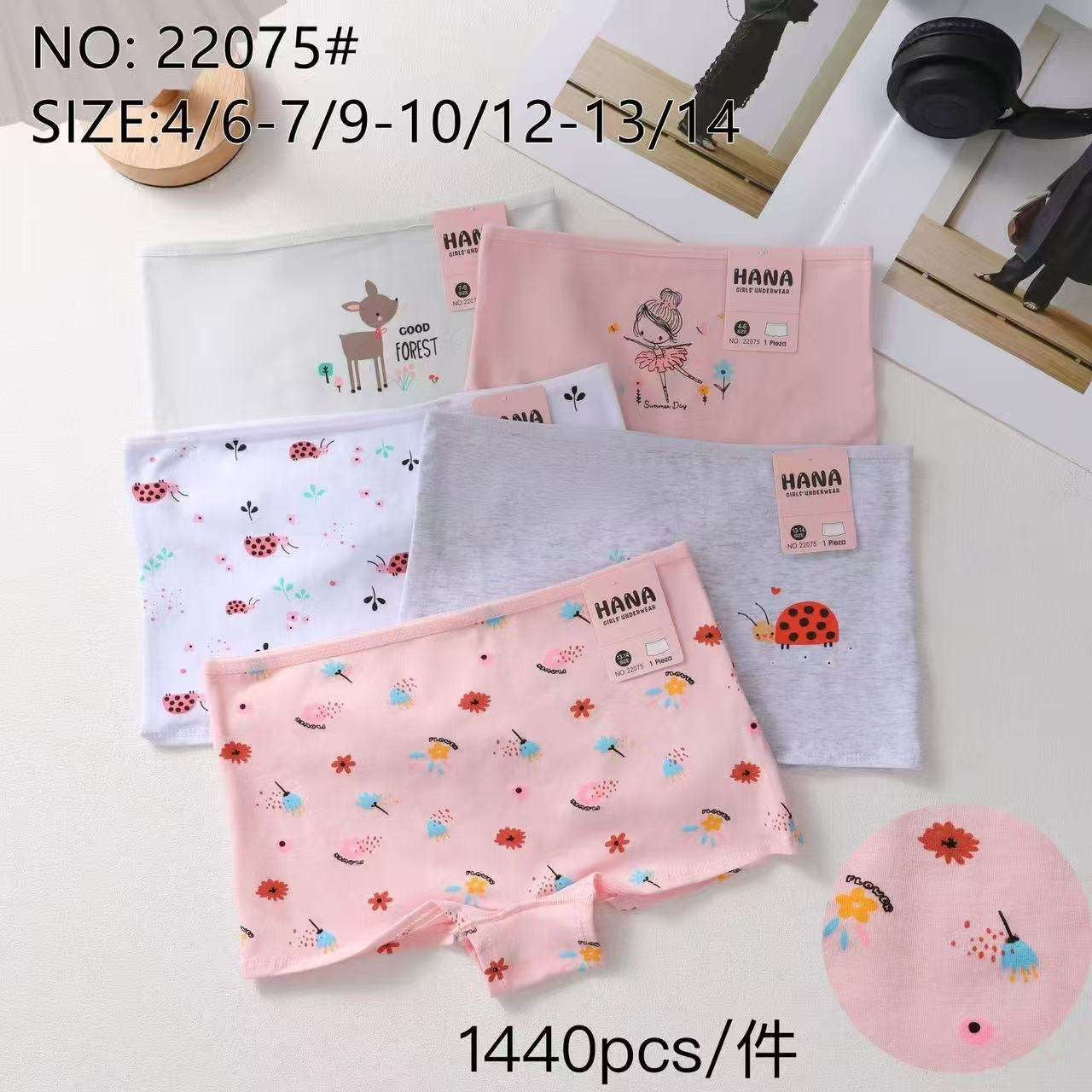 22075 Κιλότα 内裤