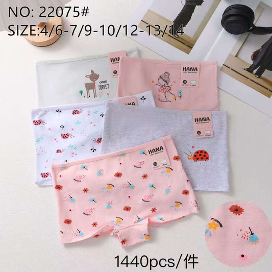 22075 Κιλότα 内裤